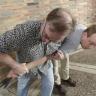 Introduction to Self-Defense